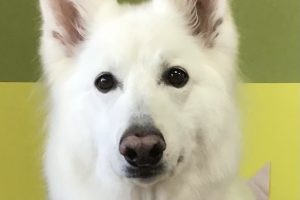 2月のお友達☆