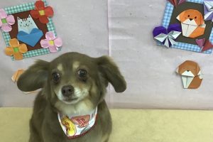 2月のお友達☆