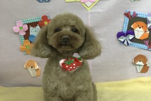 2月のお友達☆
