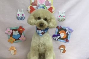 2月のお友達☆
