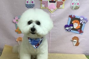 2月のお友達☆