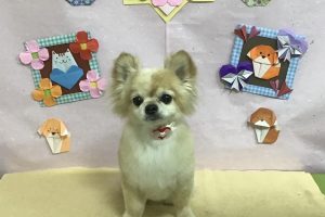 2月のお友達☆