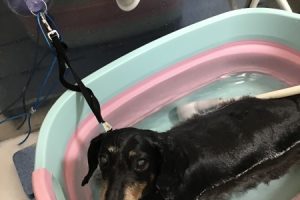 2月のお友達☆