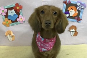 2月のお友達☆