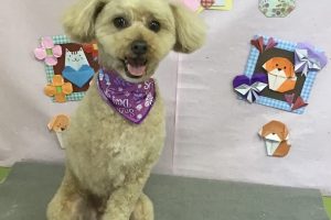 2月のお友達☆