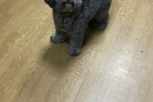 お泊り☆