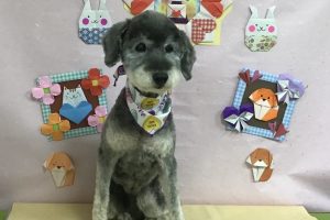2月のお友達☆