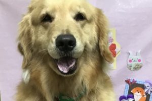 2月のお友達☆