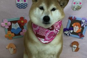 2月のお友達☆