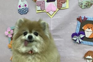 2月のお友達☆