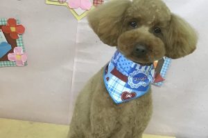 2月のお友達☆