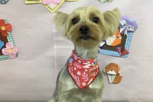 2月のお友達☆