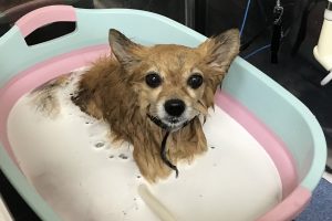 2月のお友達☆