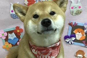 2月のお友達☆