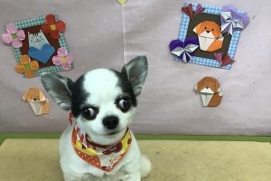 2月のお友達☆