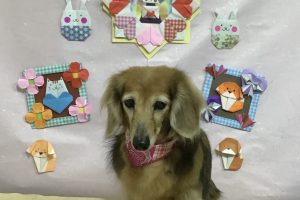 2月のお友達☆