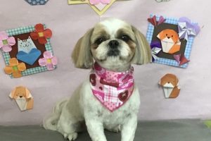 2月のお友達☆