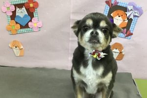 2月のお友達☆