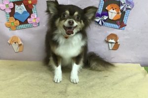 2月のお友達☆
