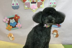 2月のお友達☆