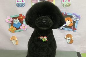 2月のお友達☆