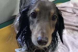 2月のお友達☆