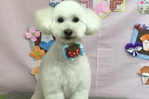 2月のお友達☆
