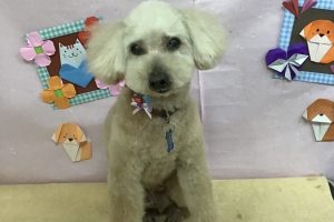 2月のお友達☆