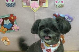 2月のお友達☆