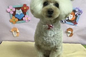 2月のお友達☆