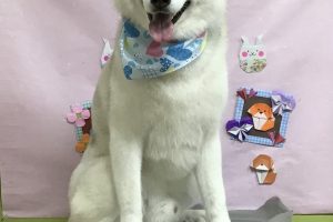 2月のお友達☆