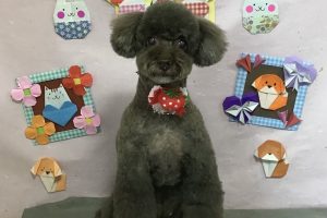 2月のお友達☆