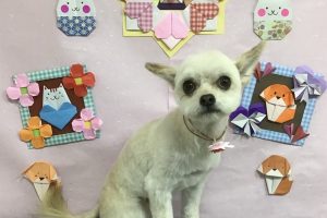2月のお友達☆