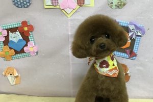 2月のお友達☆
