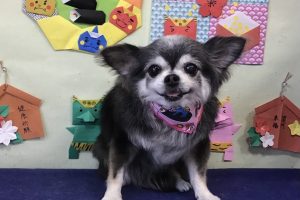 2月のお友達☆