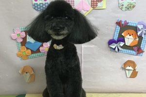 2月のお友達☆