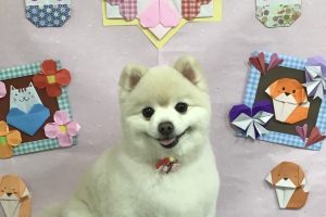2月のお友達☆