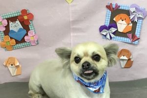 2月のお友達⭐︎