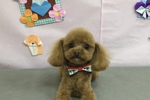 2月のお友達☆