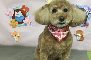 2月のお友達☆