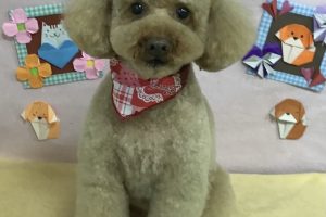 2月のお友達☆