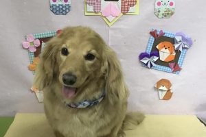 2月のお友達☆