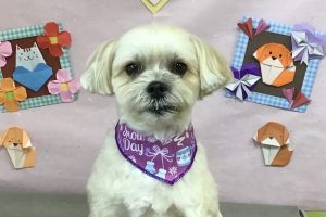2月のお友達☆