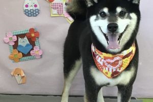 2月のお友達☆