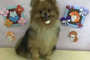 2月のお友達☆