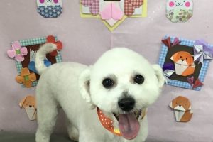 2月のお友達☆