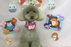 2月のお友達☆