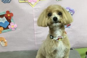 2月のお友達☆