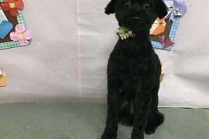 2月のお友達☆