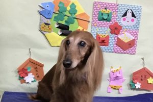 2月のお友達☆